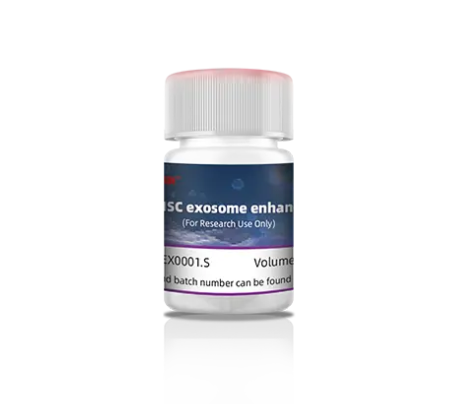 Stem Cell Exosome Enhancer مُحسّن للخلية الجذعية