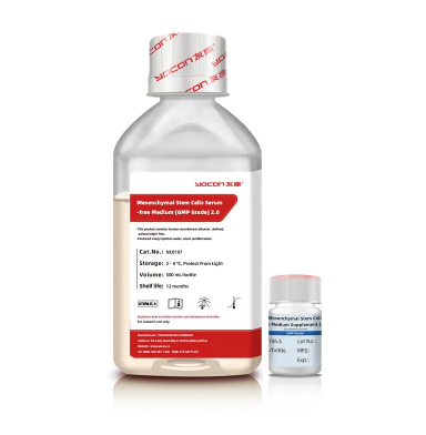 دليل المبتدئين لفهم الإكسوسومات