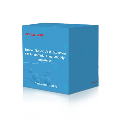 ما هي أفضل طريقة للكشف عن البكتيريا؟