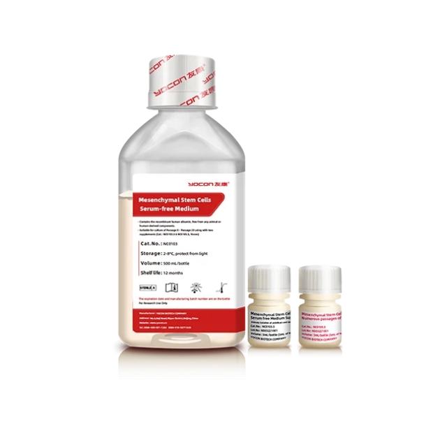 لماذا تعد وسائط زراعة الخلايا من الدرجة GMP أمرًا بالغ الأهمية للعلاج بالخلايا？