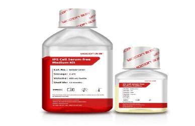 يدويًا مقابل ثقافة الخلايا المناعية الآلية ذات الحلقة المغلقة: أيهما أفضل؟