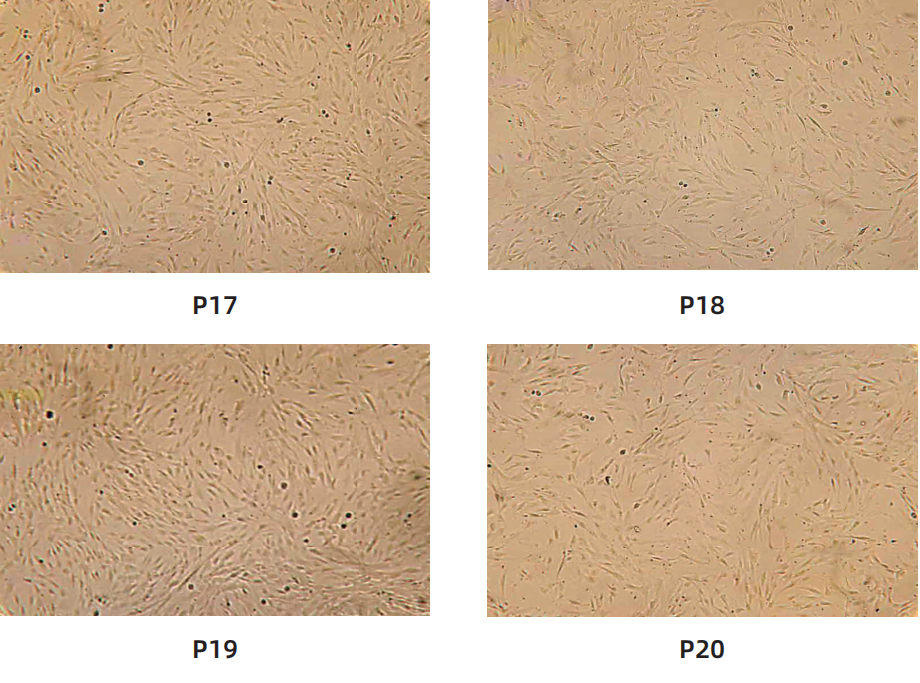 d85ab6678f3960fa5cf35cbd488d02cd