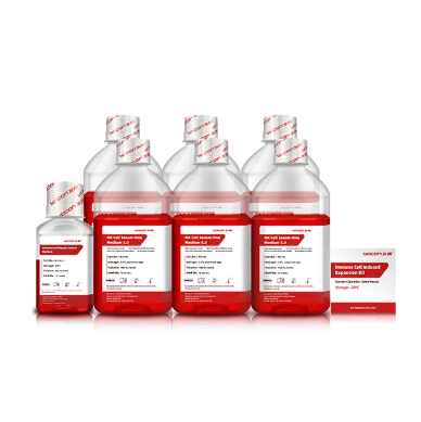 ما هو ستربتو البنسلين ودوره في الطب الحديث