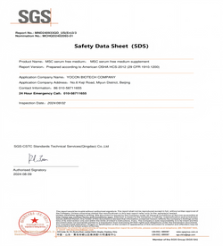  SDS-MSC Serum متوسطة خالية من مصل MSC 