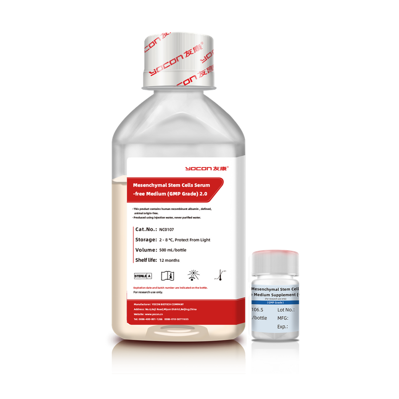 GMP Grade Serum خالية من المصل MSC Medium